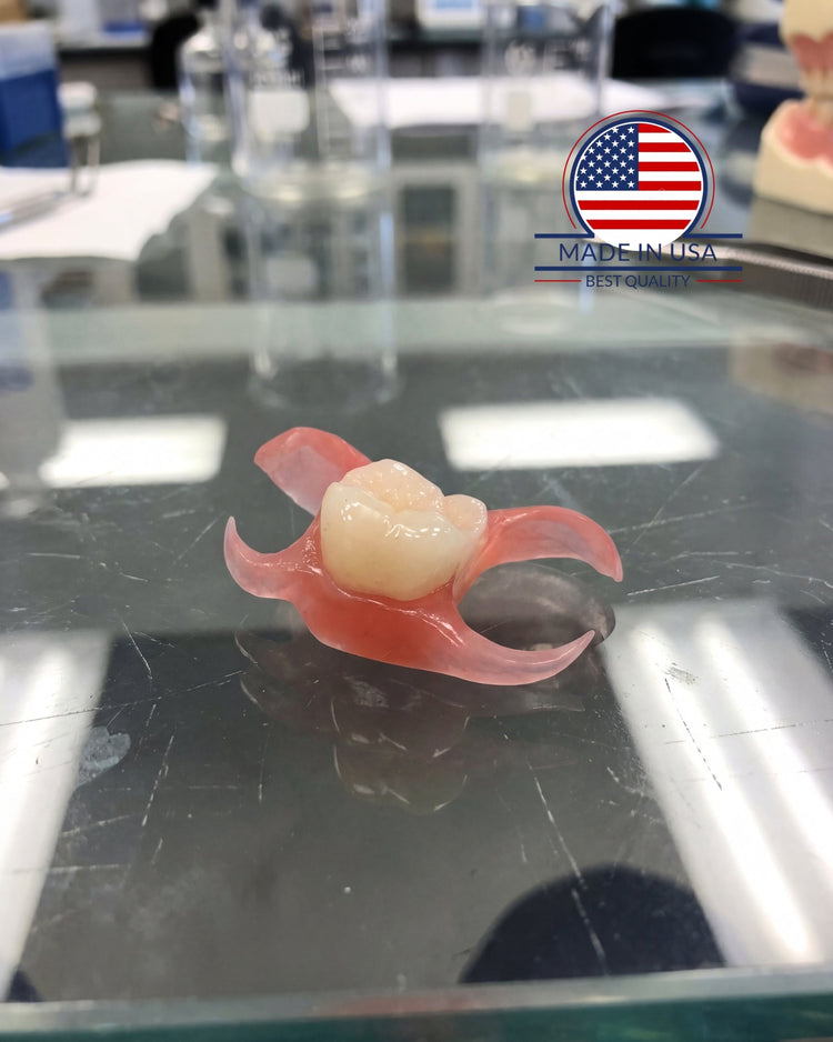 Semi-Flex Flipper (1 Tooth)