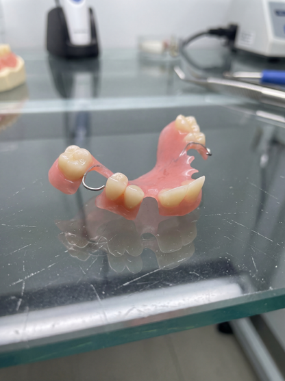 Dental model on a glass surface with lab equipment in the background
