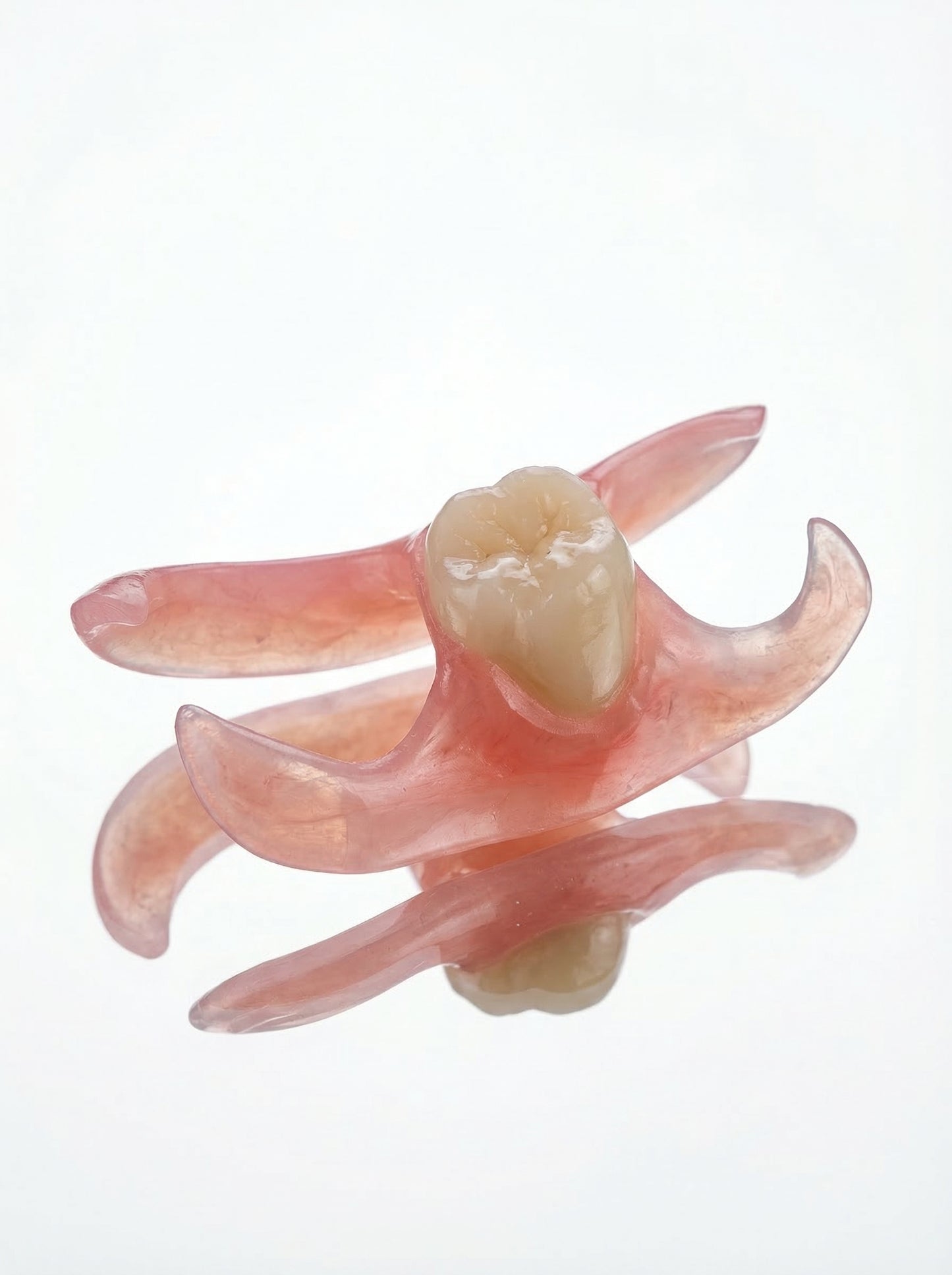 Single Tooth Flexible Flipper