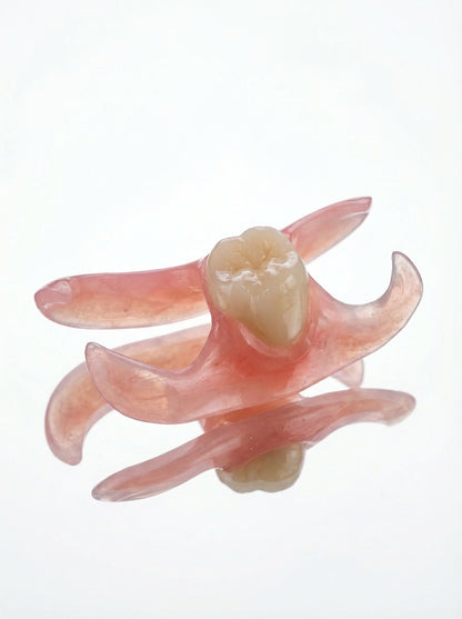 Single Tooth Flexible Flipper