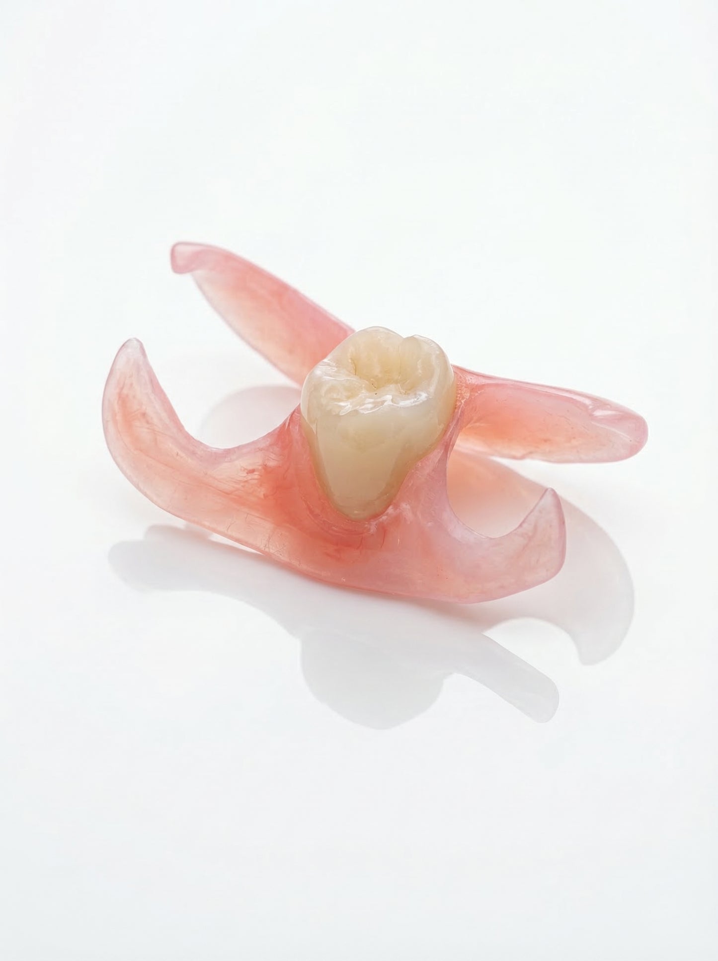 Single Tooth Flexible Flipper
