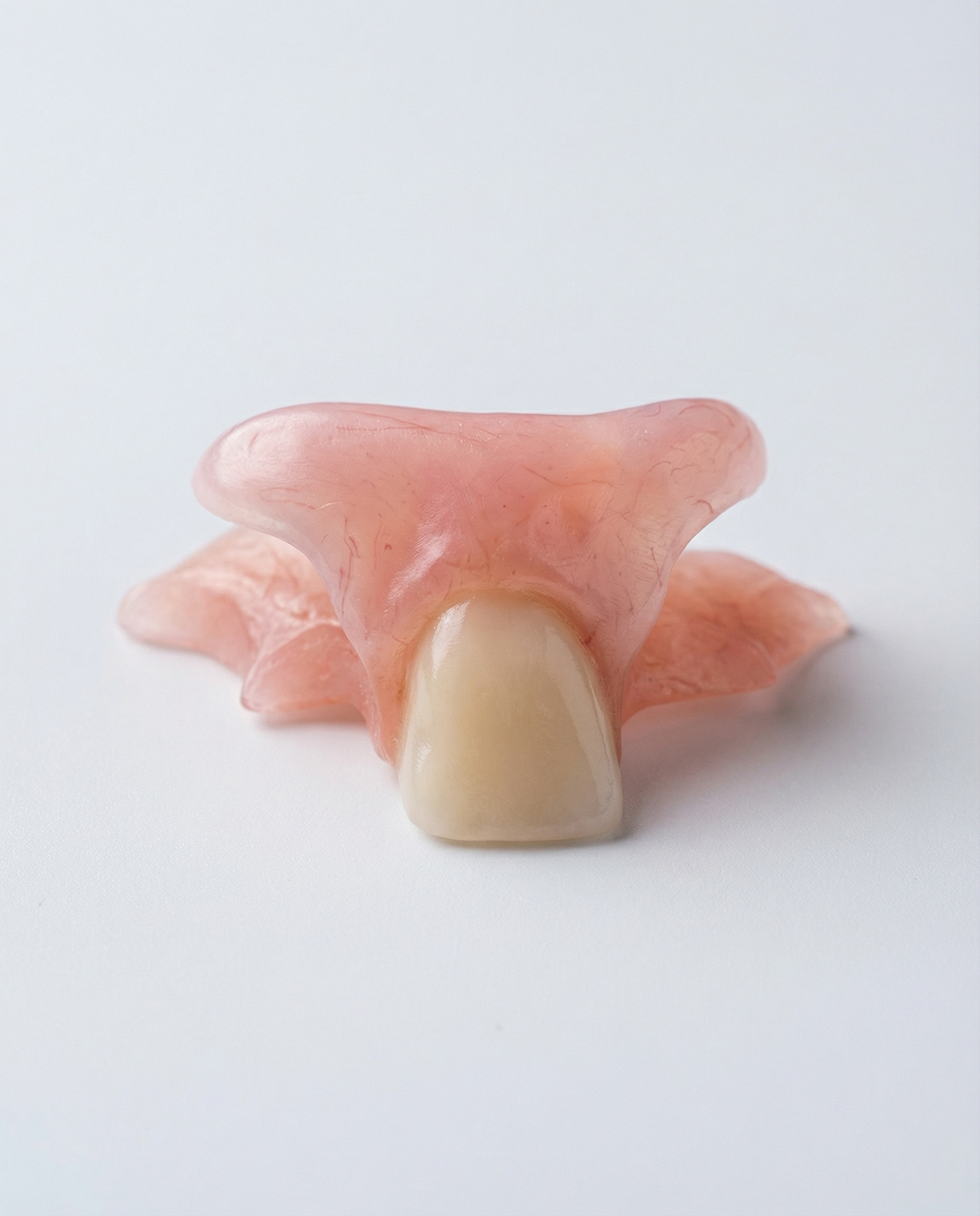 Single Tooth Flexible Flipper