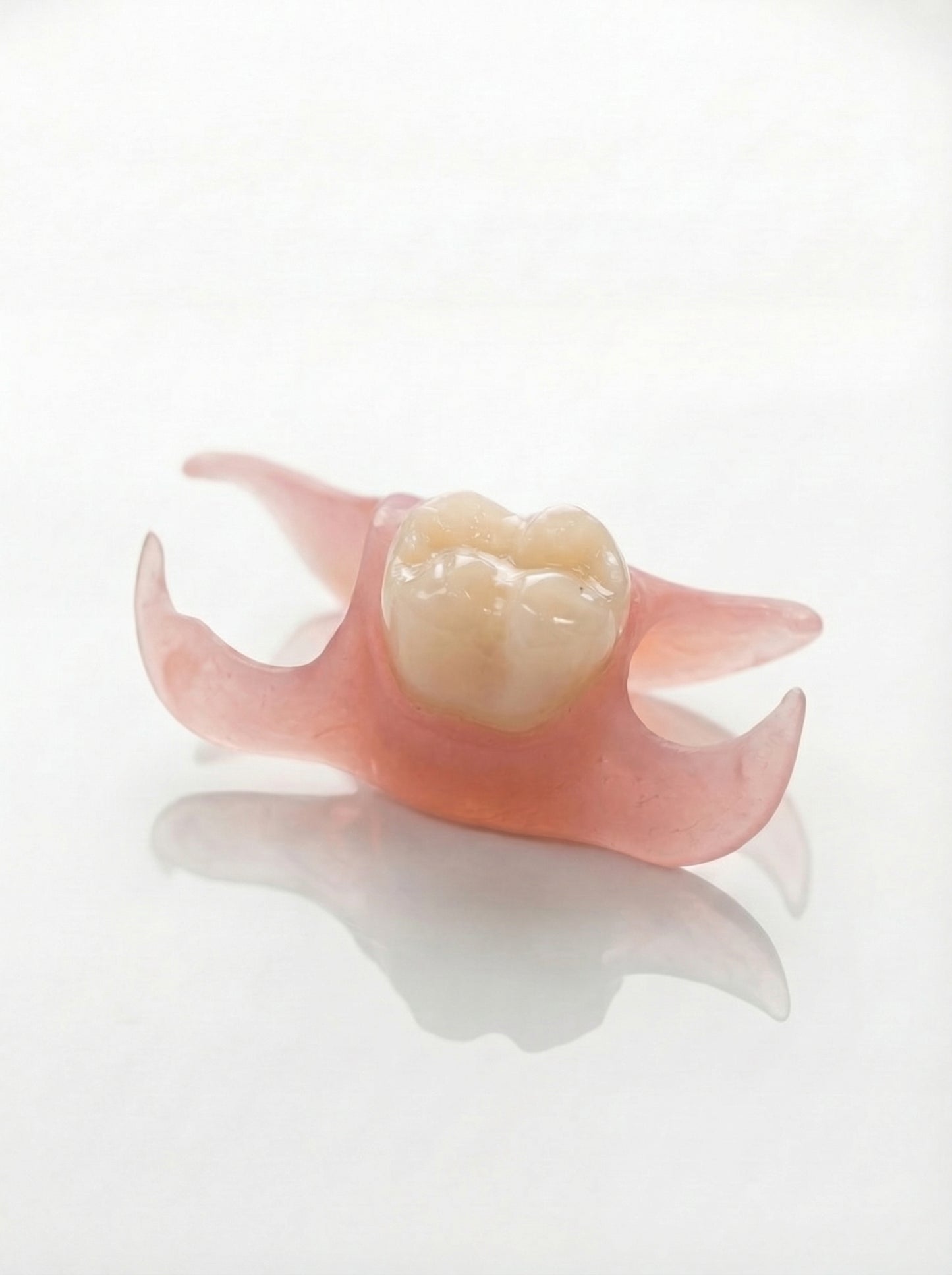 Single Tooth Flexible Flipper