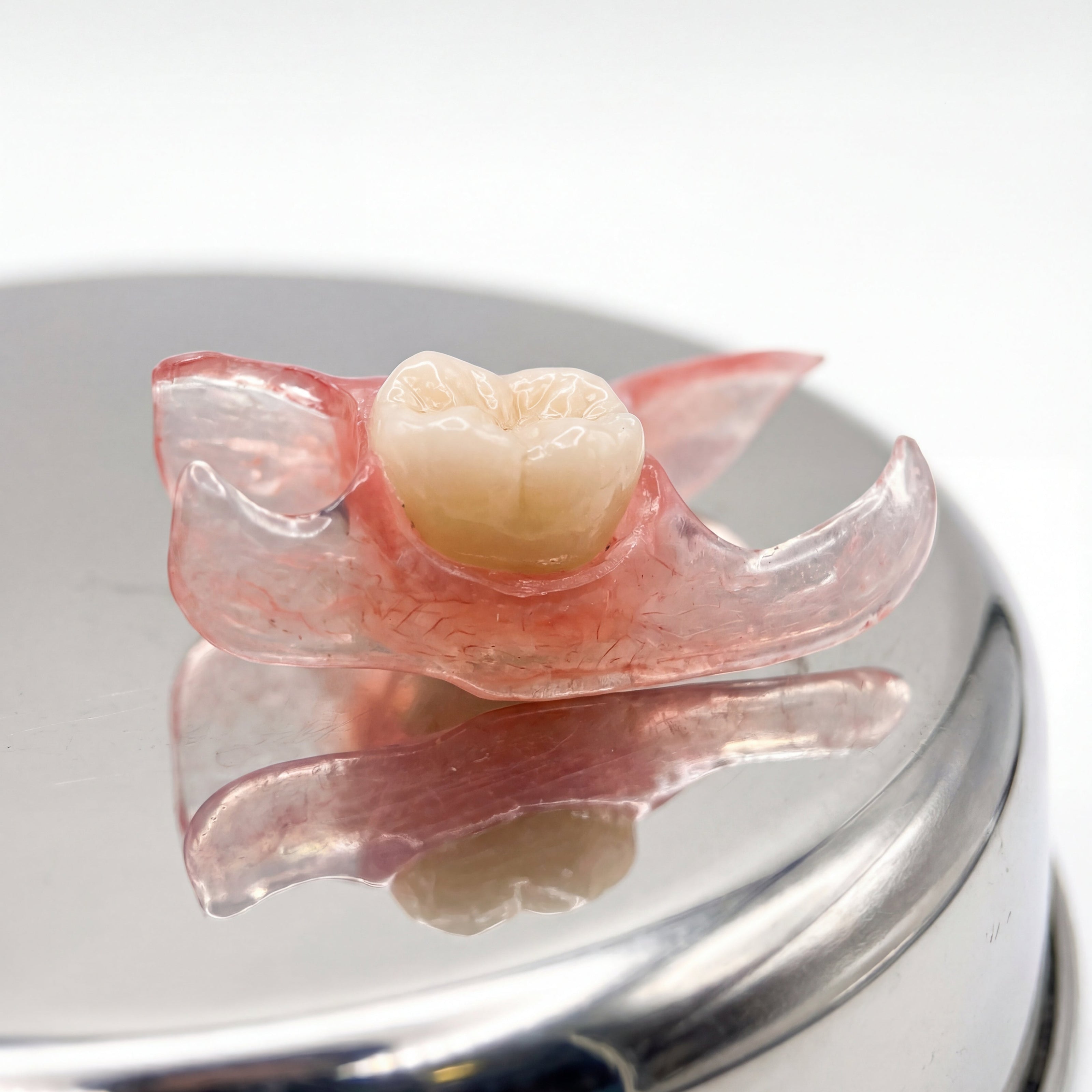 Dental flipper with a single tooth on a reflective surface