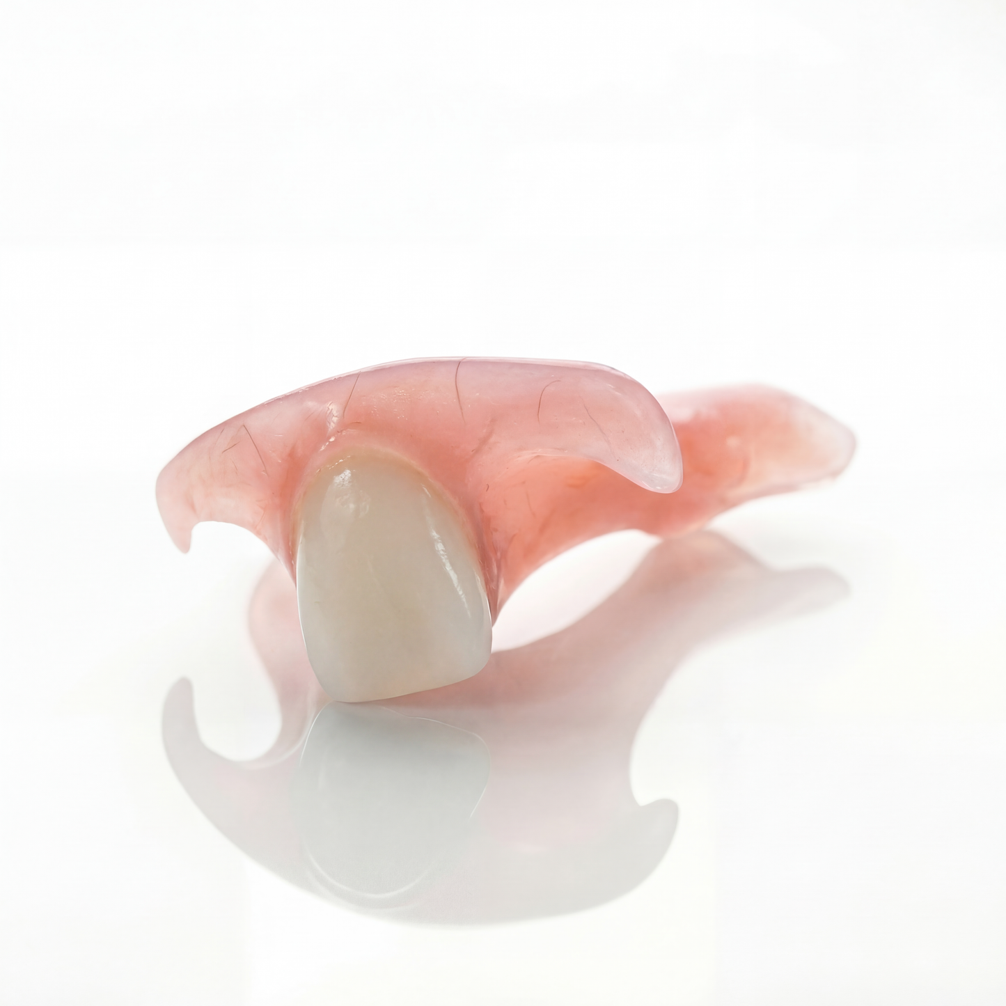 Single Tooth Flexible Flipper